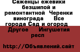 Саженцы ежевики безшипой и ремонтантной. Черенки винограда . - Все города Сад и огород » Другое   . Ингушетия респ.
